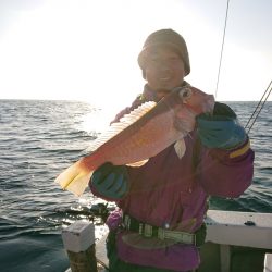 エンペラー 釣果