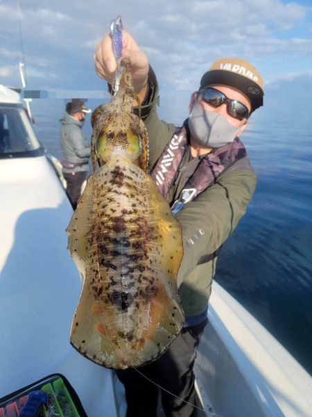 ソルトウォーターガイドフレンズ 釣果