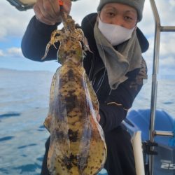 ソルトウォーターガイドフレンズ 釣果