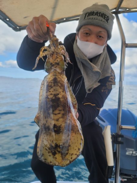 ソルトウォーターガイドフレンズ 釣果