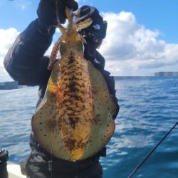 ソルトウォーターガイドフレンズ 釣果