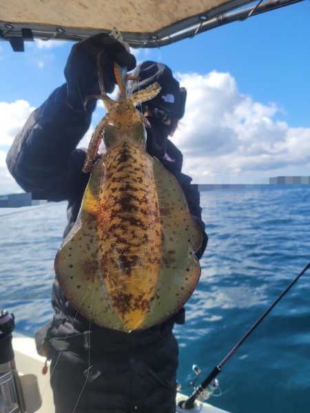 ソルトウォーターガイドフレンズ 釣果