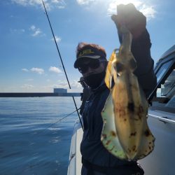 ソルトウォーターガイドフレンズ 釣果