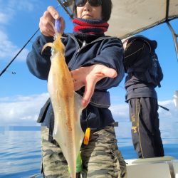 ソルトウォーターガイドフレンズ 釣果