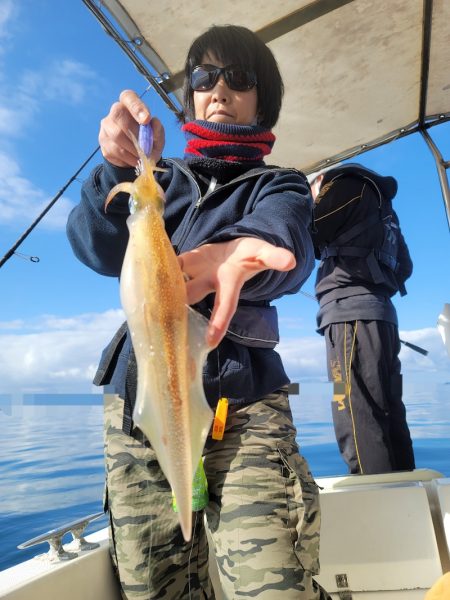 ソルトウォーターガイドフレンズ 釣果