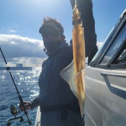 ソルトウォーターガイドフレンズ 釣果