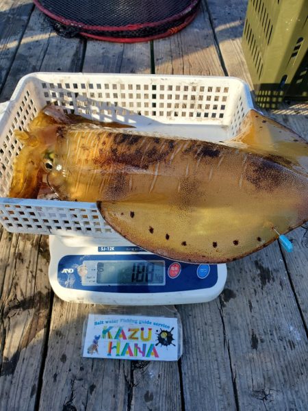 一華丸 釣果