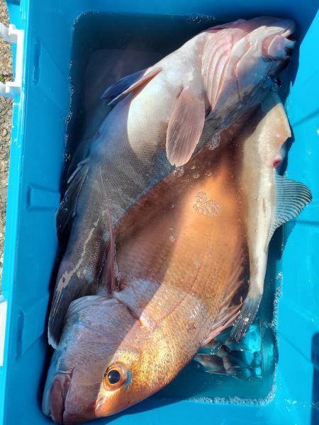 新幸丸 釣果