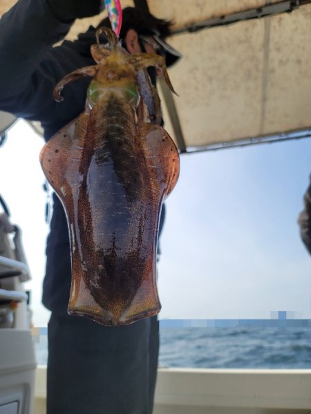 ソルトウォーターガイドフレンズ 釣果