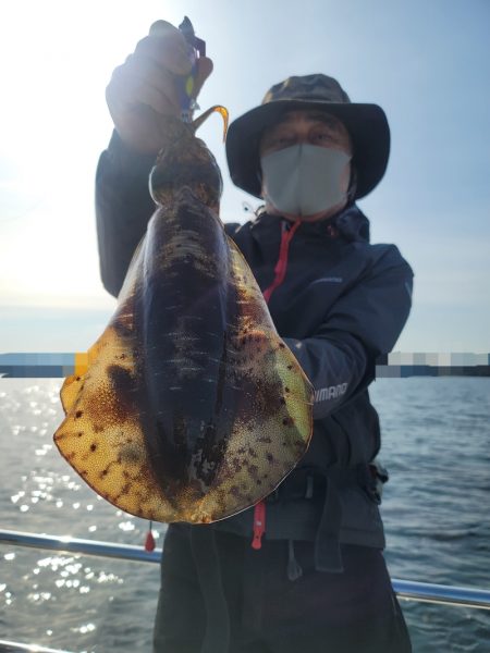 ソルトウォーターガイドフレンズ 釣果