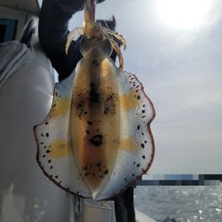 ソルトウォーターガイドフレンズ 釣果