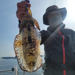 ソルトウォーターガイドフレンズ 釣果