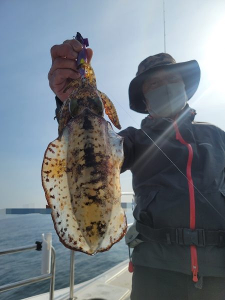 ソルトウォーターガイドフレンズ 釣果