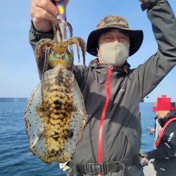 ソルトウォーターガイドフレンズ 釣果