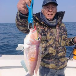 ARCADIAⅡ (アルカディアⅡ) 釣果