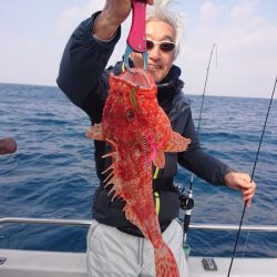 ARCADIAⅡ (アルカディアⅡ) 釣果