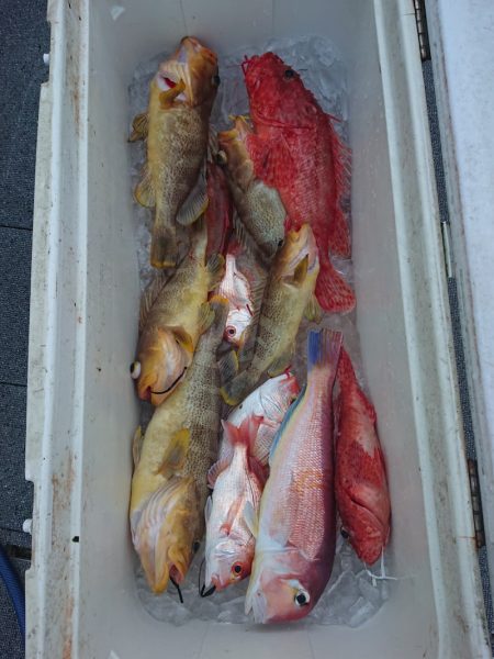 ARCADIAⅡ (アルカディアⅡ) 釣果