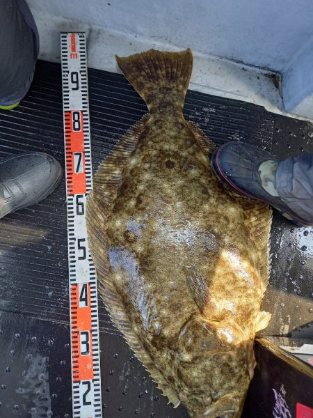 第二龍勢丸 釣果