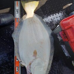 第二龍勢丸 釣果