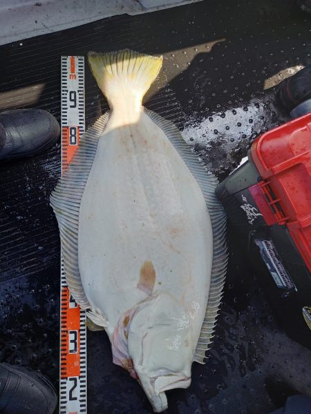 第二龍勢丸 釣果