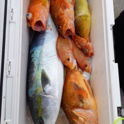 第二龍勢丸 釣果