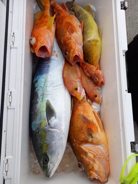 第二龍勢丸 釣果