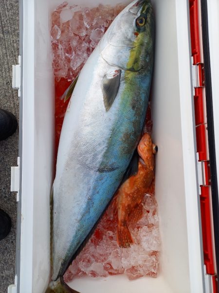 第二龍勢丸 釣果