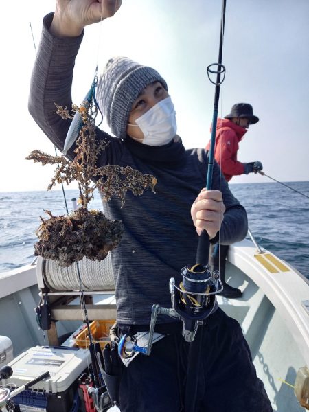 アマテラス 釣果