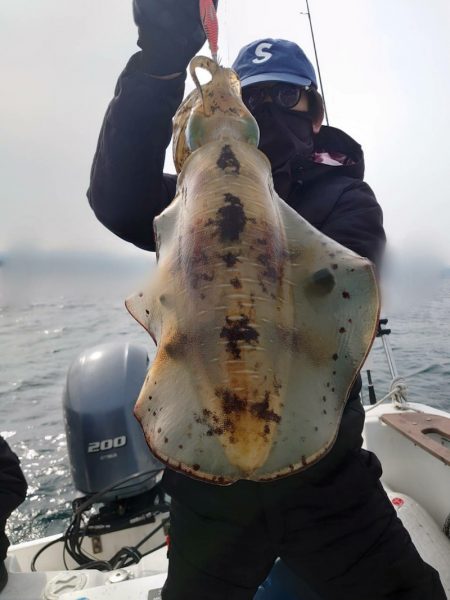 ソルトウォーターガイドフレンズ 釣果