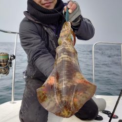 ソルトウォーターガイドフレンズ 釣果