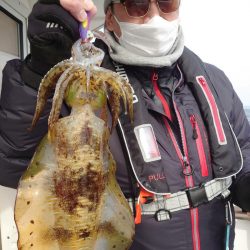 ソルトウォーターガイドフレンズ 釣果