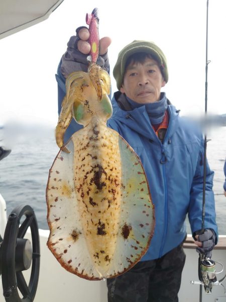 ソルトウォーターガイドフレンズ 釣果