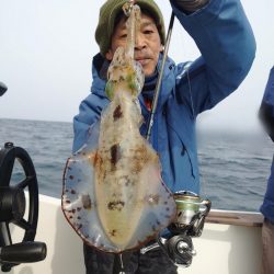 ソルトウォーターガイドフレンズ 釣果