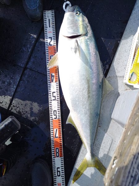 第二龍勢丸 釣果