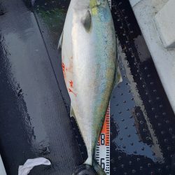 第二龍勢丸 釣果