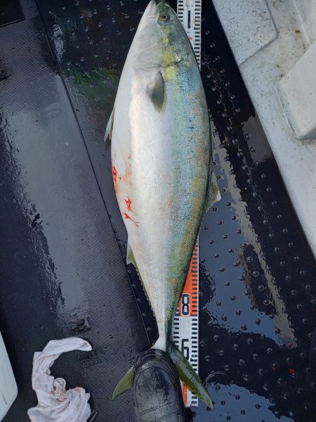 第二龍勢丸 釣果