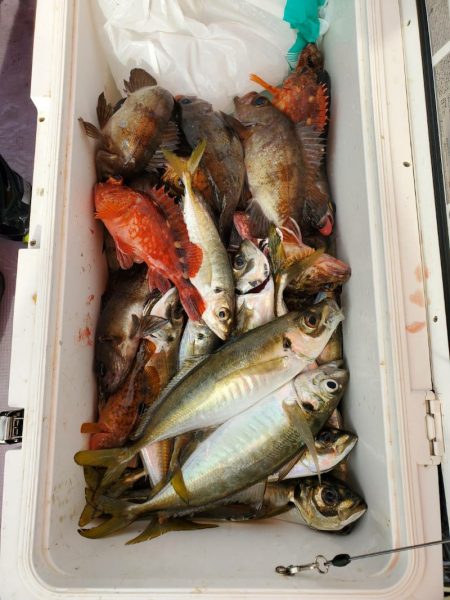 海龍丸（石川） 釣果