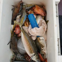 海龍丸（石川） 釣果