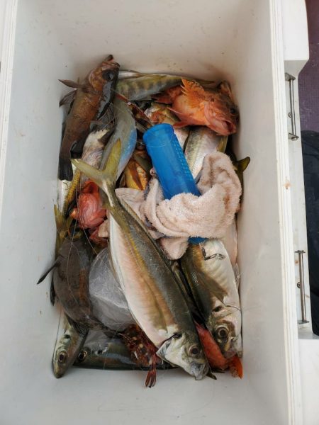 海龍丸（石川） 釣果