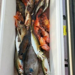 海龍丸（石川） 釣果
