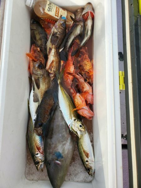 海龍丸（石川） 釣果