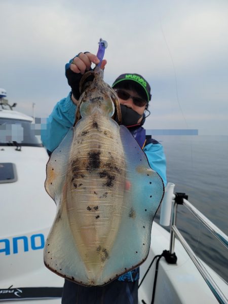 ソルトウォーターガイドフレンズ 釣果