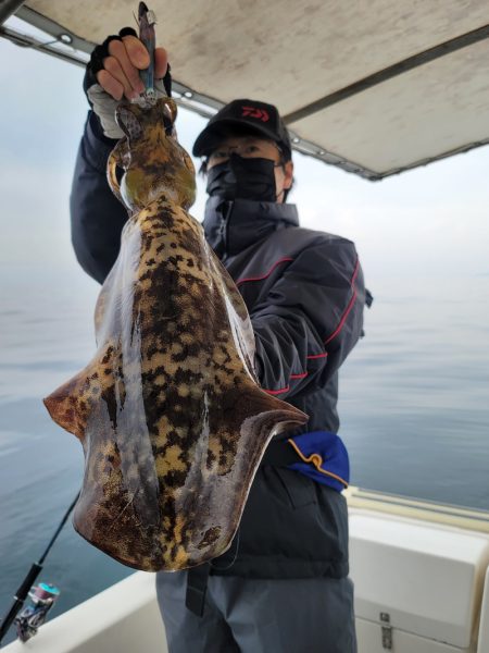 ソルトウォーターガイドフレンズ 釣果