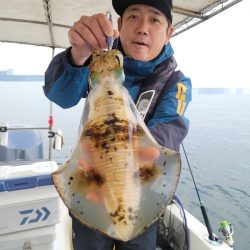 ソルトウォーターガイドフレンズ 釣果