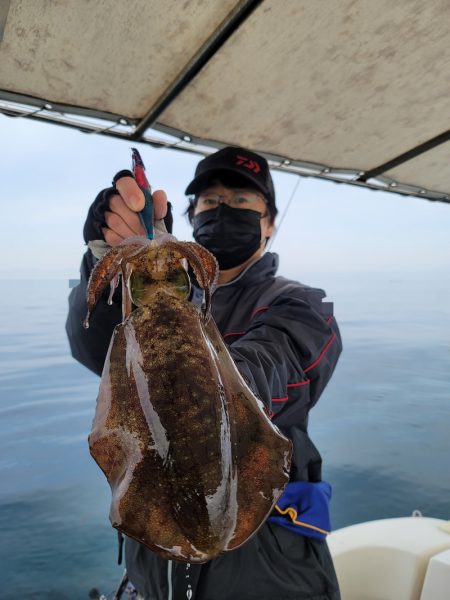 ソルトウォーターガイドフレンズ 釣果