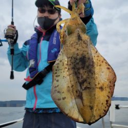 ソルトウォーターガイドフレンズ 釣果