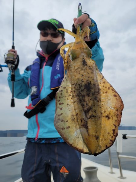 ソルトウォーターガイドフレンズ 釣果