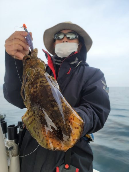 ソルトウォーターガイドフレンズ 釣果