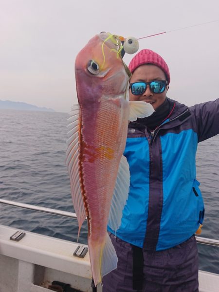 ARCADIAⅡ (アルカディアⅡ) 釣果