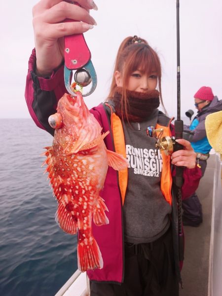 ARCADIAⅡ (アルカディアⅡ) 釣果